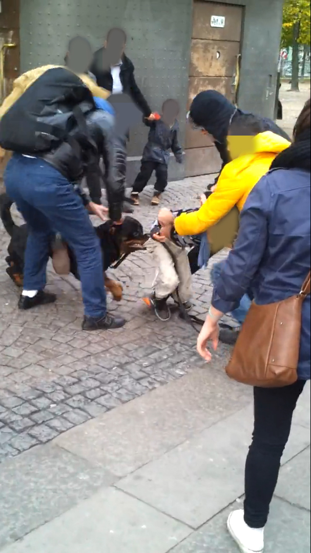 Hund, Goteborg, Mentalt test, Hundattack, Polisen